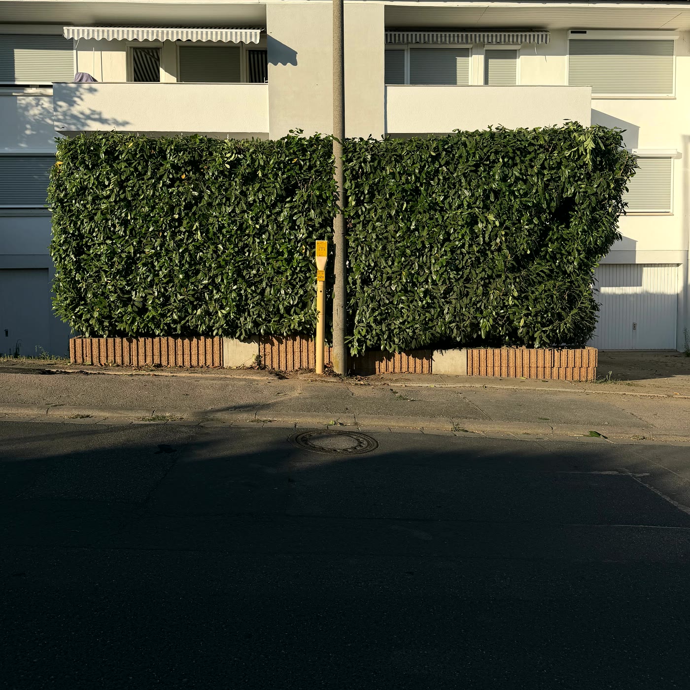 Frisch geschnittene Hecke vor einem Wohnhaus